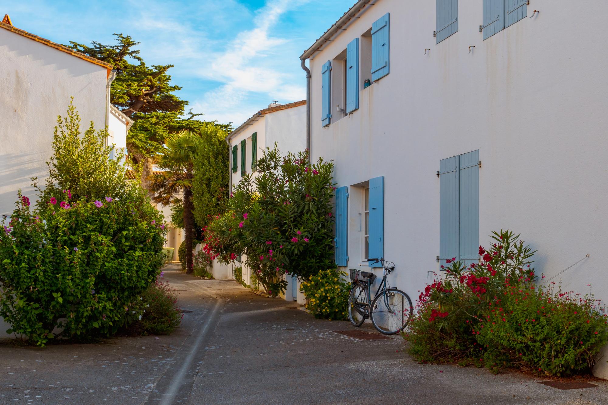 A picturesque alley lined with flowering bushes and a parked bicycle, featuring white houses with blue shutters against a clear blue sky.