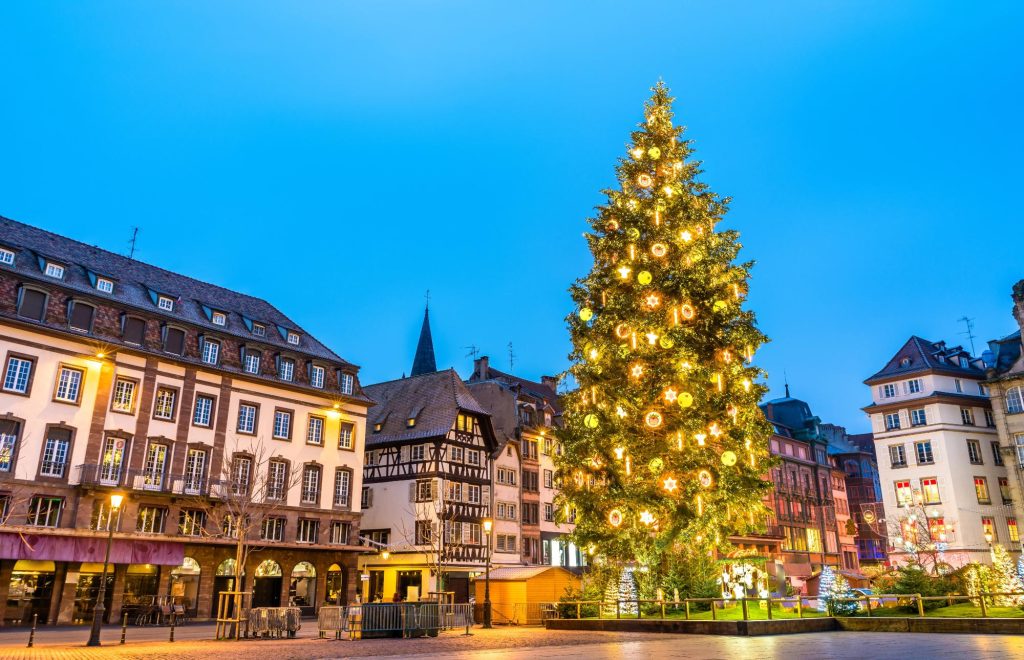 A beautifully decorated Christmas tree illuminated with lights in the center of Strasbourg, surrounded by historical buildings at dusk.