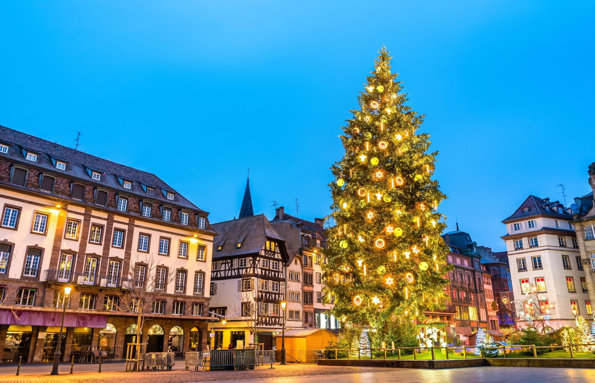 A beautifully decorated Christmas tree illuminated with lights in the center of Strasbourg, surrounded by historical buildings at dusk.