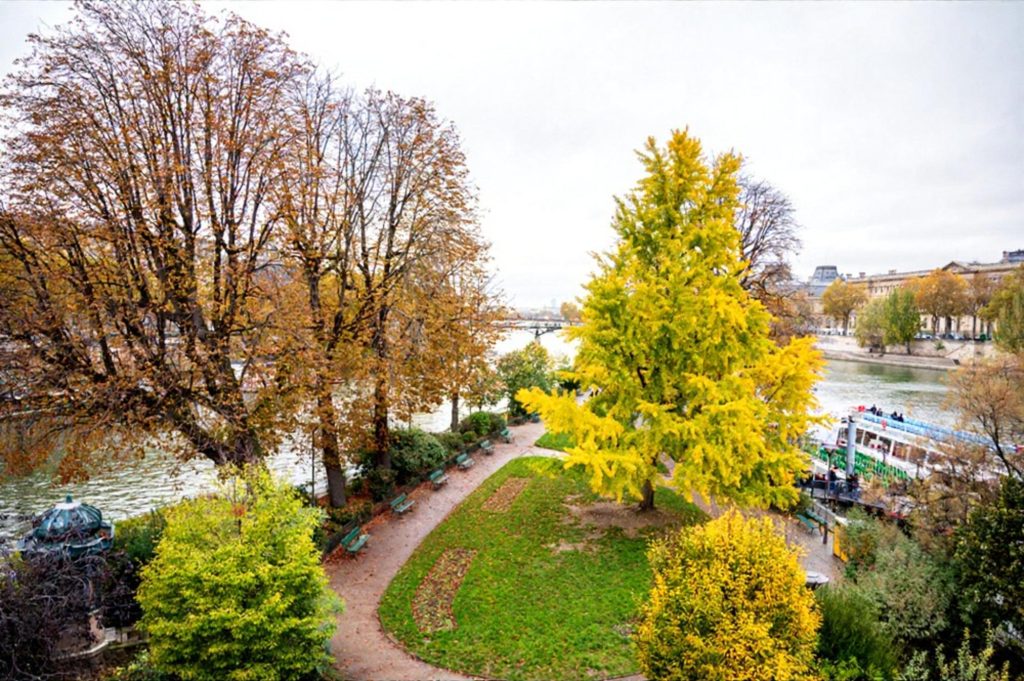 A scenic view of Vert Galant Square in autumn, featuring colorful trees with yellow and brown leaves, a winding path, and a glimpse of the river with a boat.