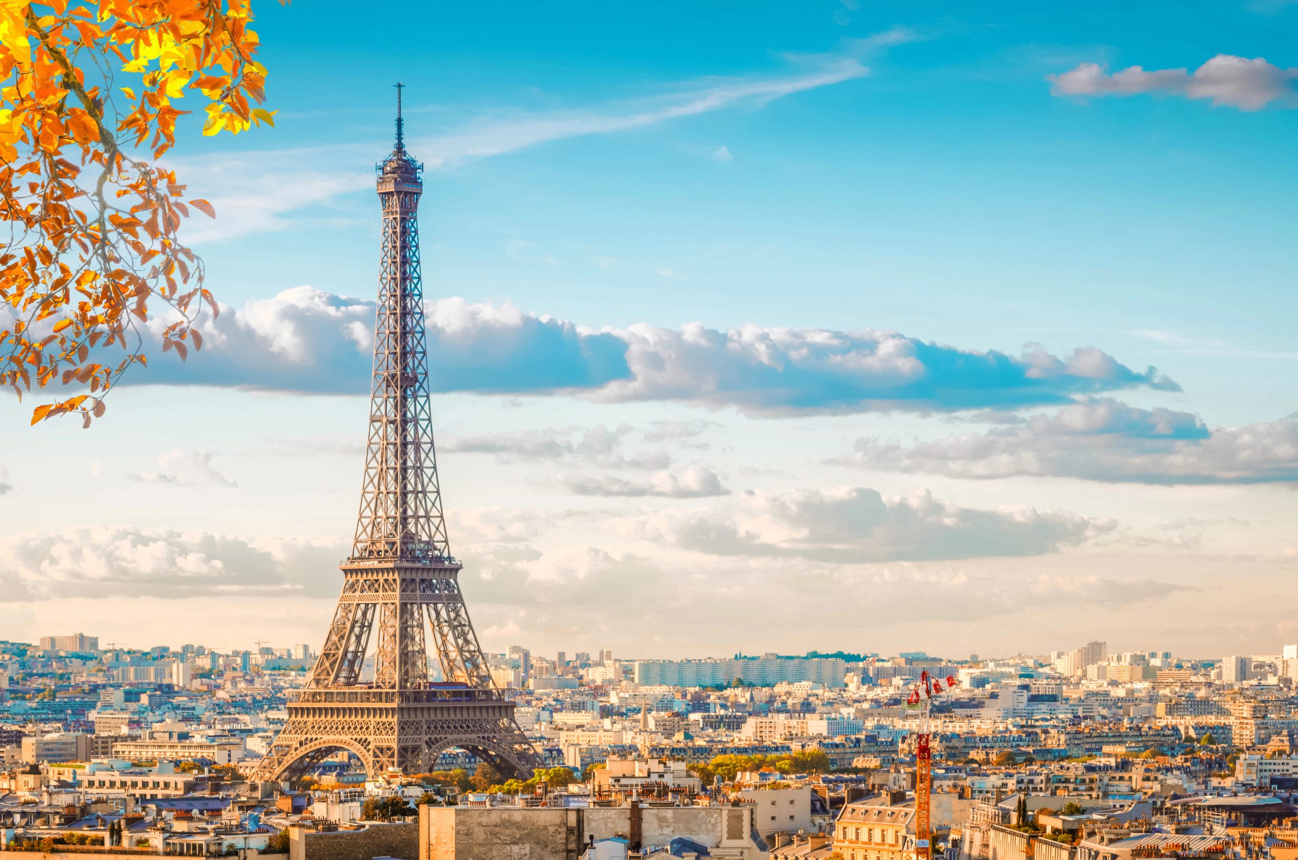 Célèbre monument de la Tour Eiffel et vieux toits de Paris à l'automne, Paris France, tonique