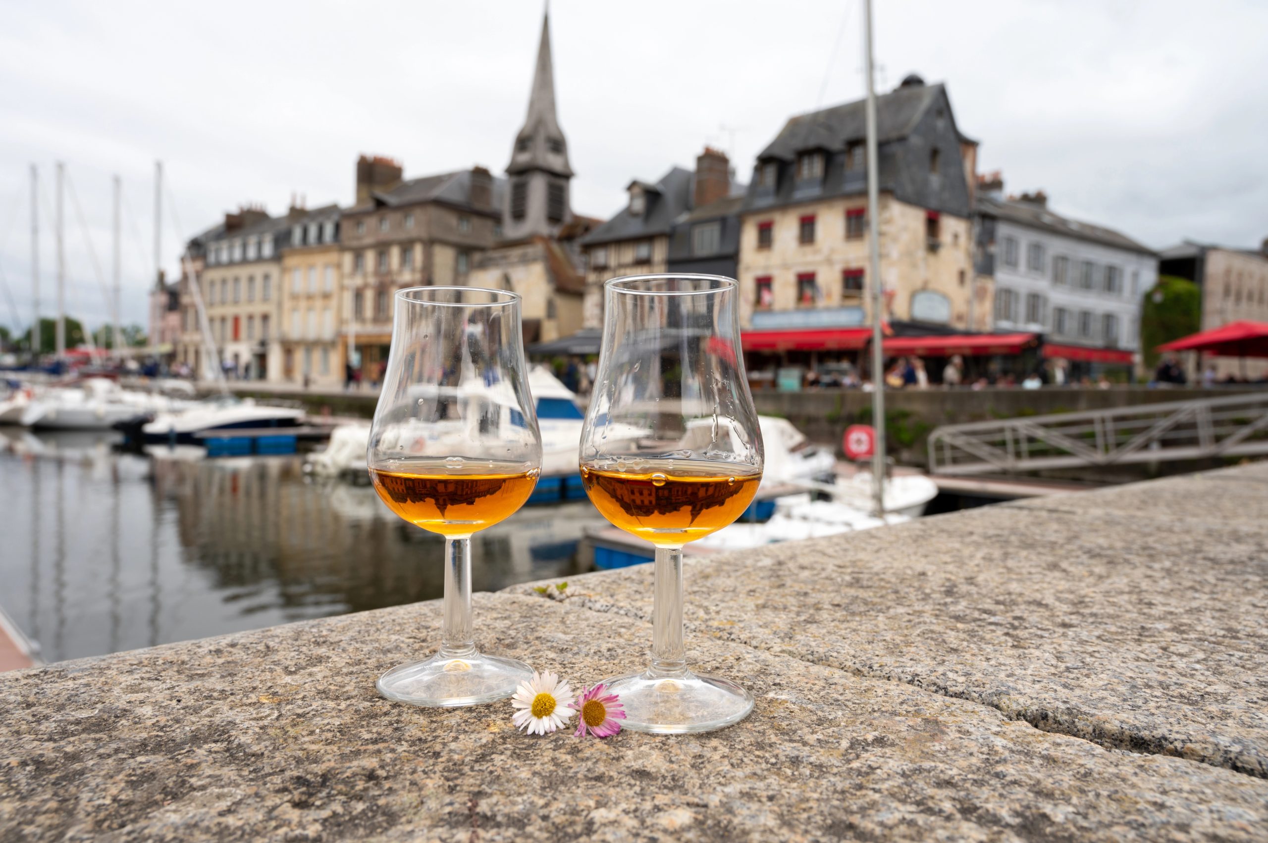 Tasting of apple calvados drink from glasses in old Honfleur harbour with boats and old houses on background, Normandy, France