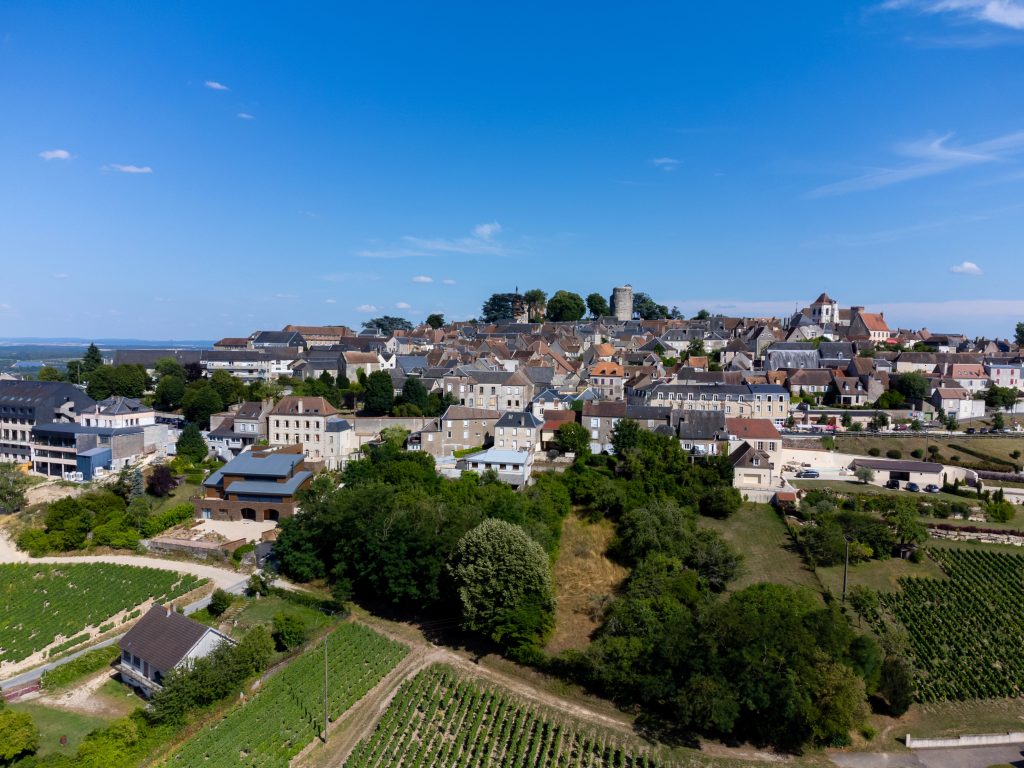 Aerial view on green vineyards around Sancerre wine making village, rows of sauvignon blanc grapes on hills with different soils, Cher, Loire valley, France