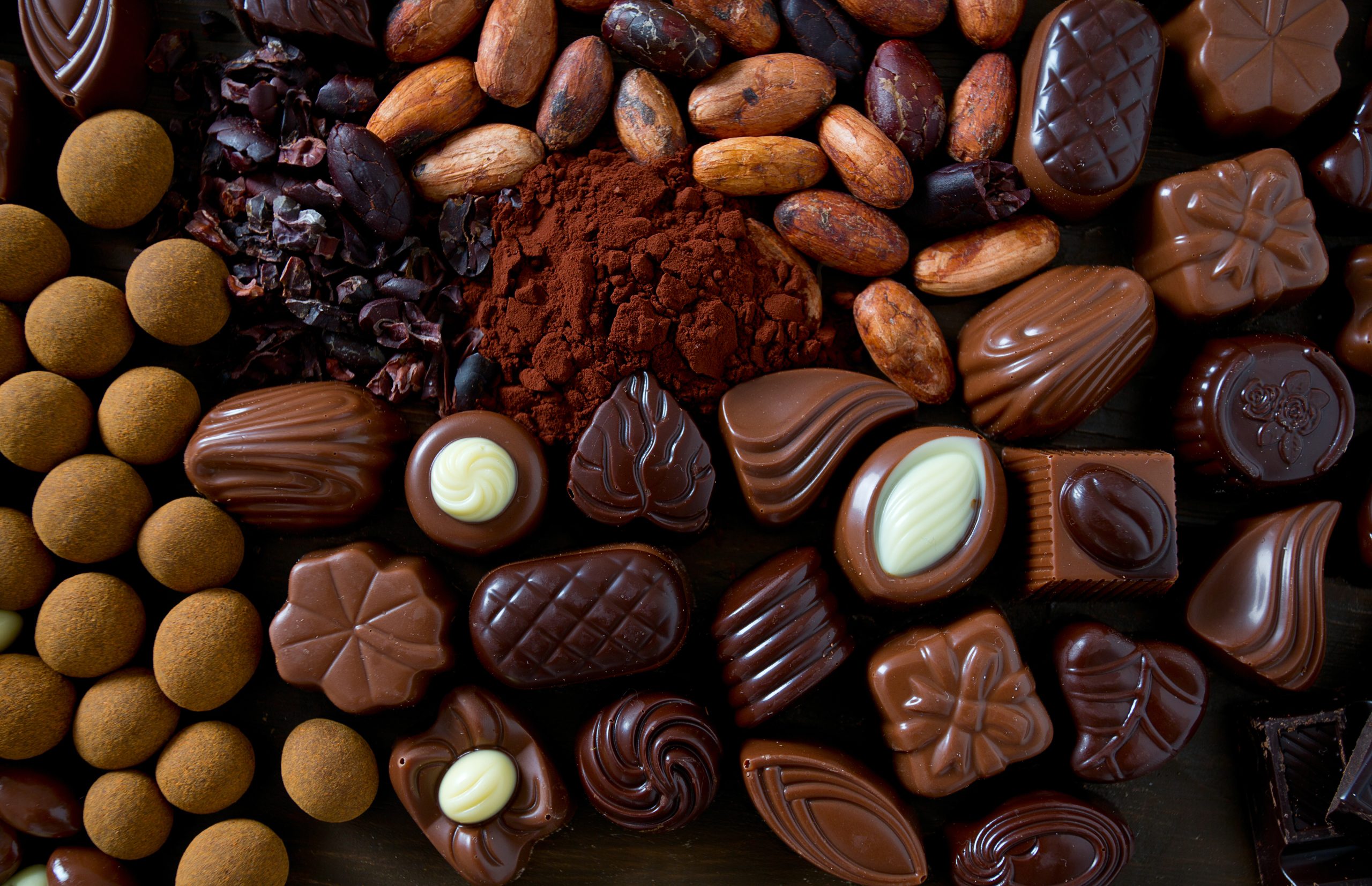 Assorted Chocolates and Cacao Nibs Still Life