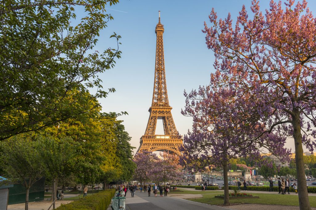 PARIS, FRANCE - MAY 8, 2017: Eiffel Tower with Magnolia flowers. Spring view on Paris, France.