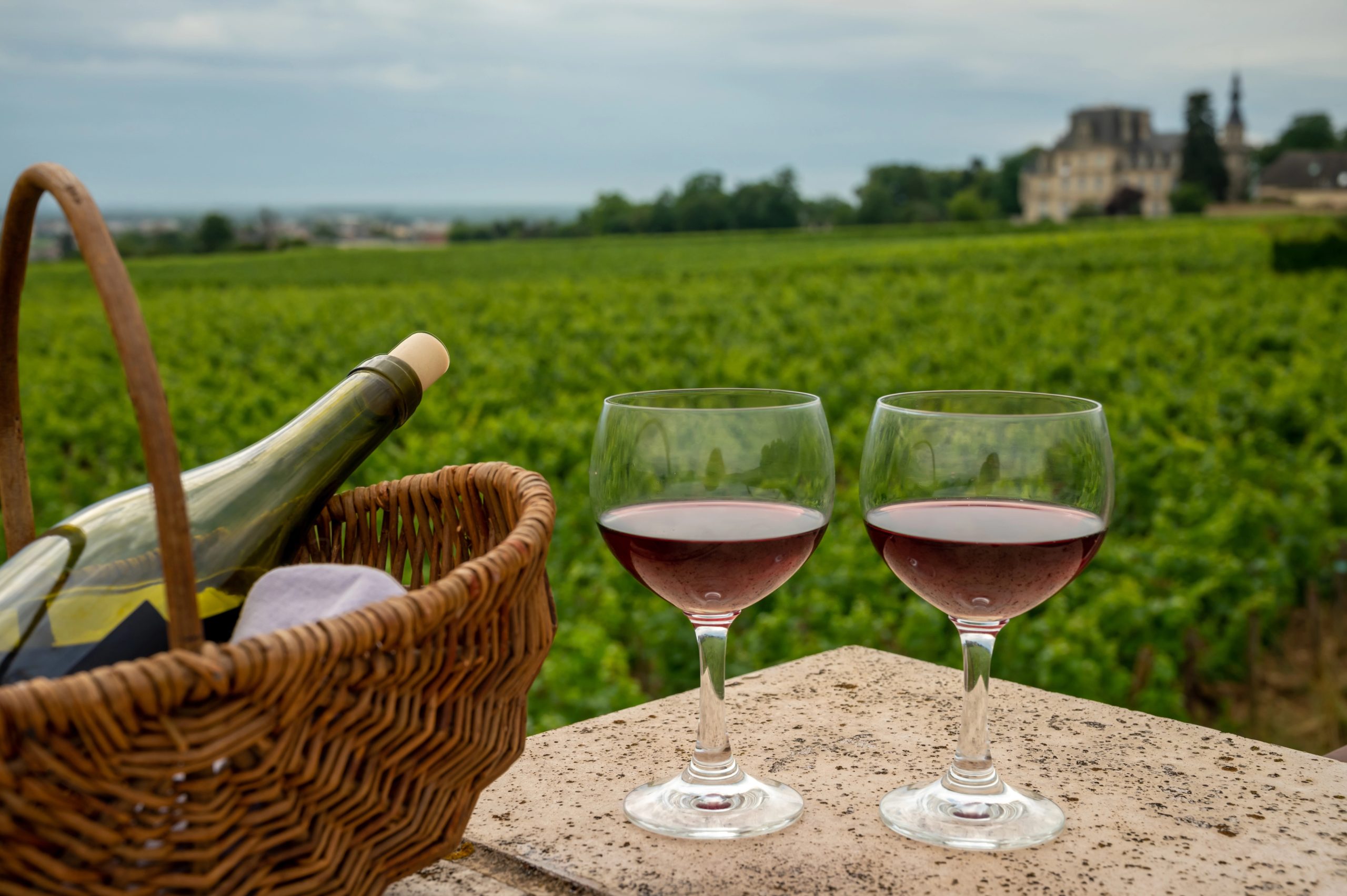 Tasting of red wine by old maker in Pierres Dores region with yellow stone houses on south of Beaujolais region, France