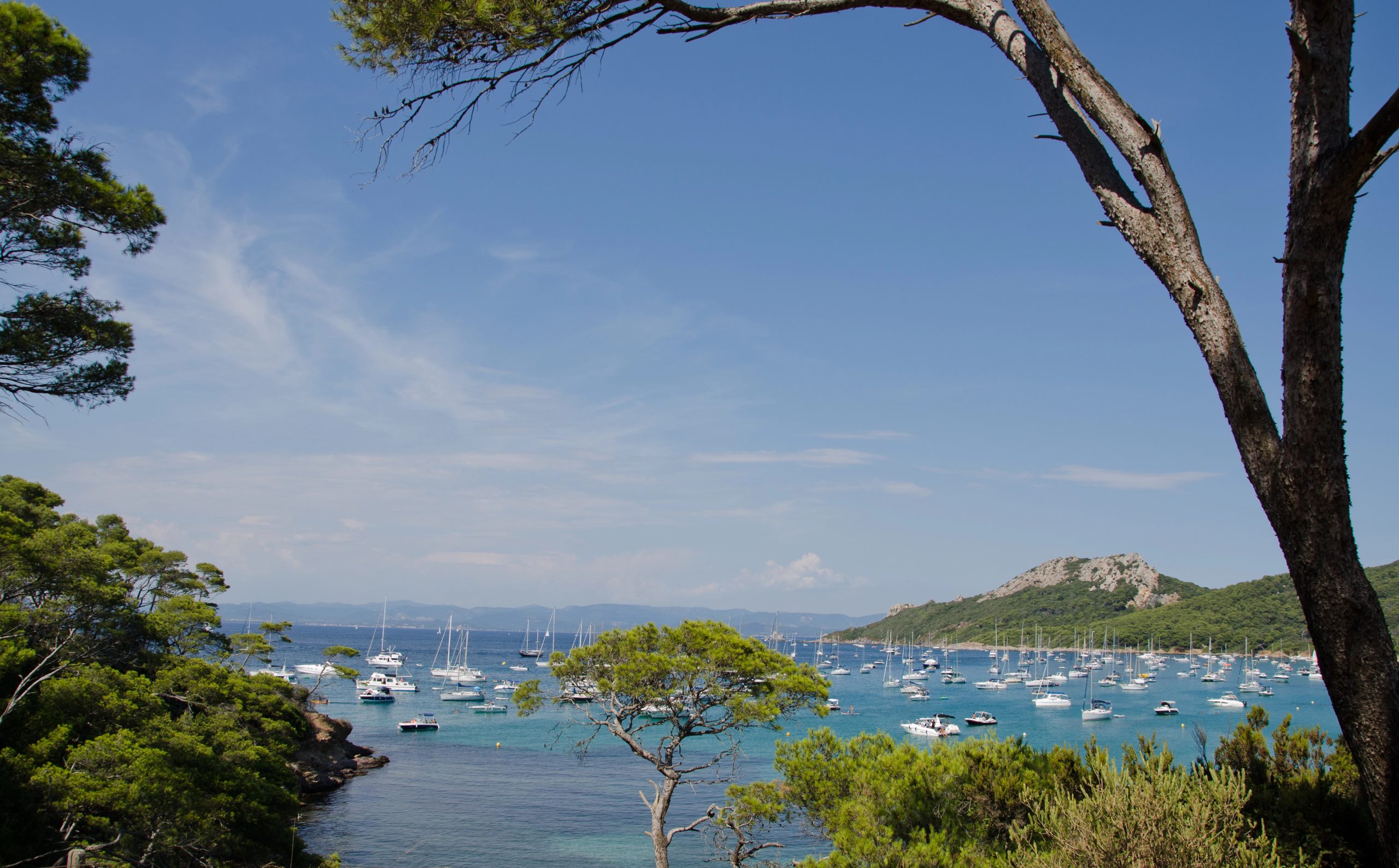 The porquerolles, French islands with beach and sea as the Caribbean