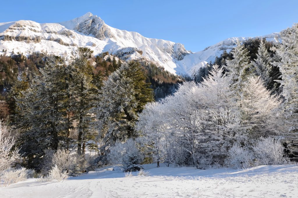 Landscape of the Massif Central in winter