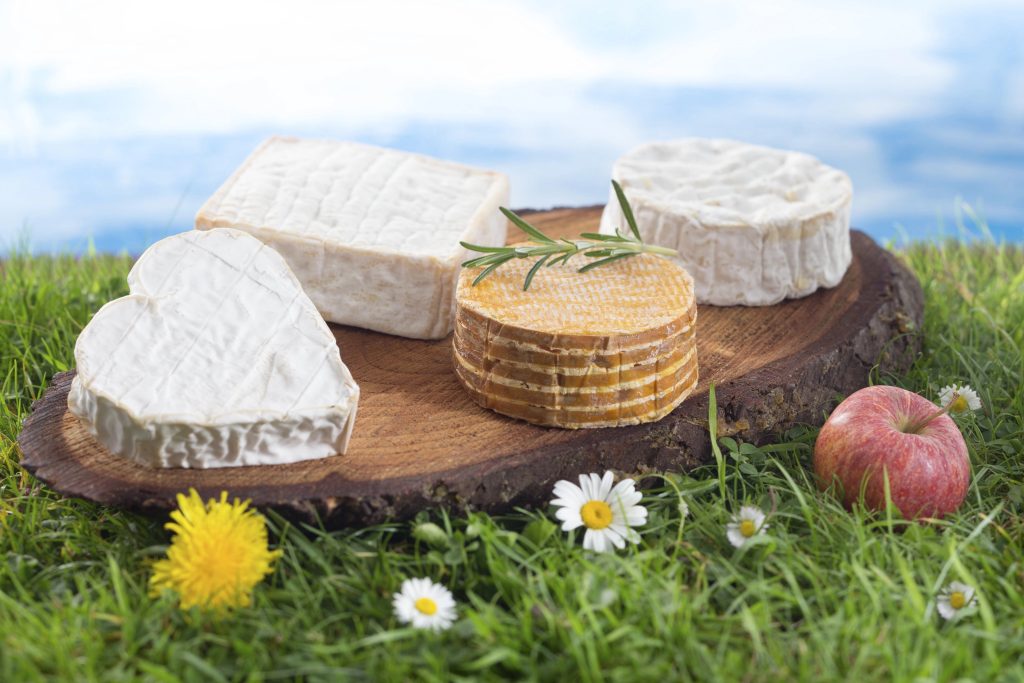 

Remove BG

Save

Share

Sample

Speciaity cheese from Normandy France