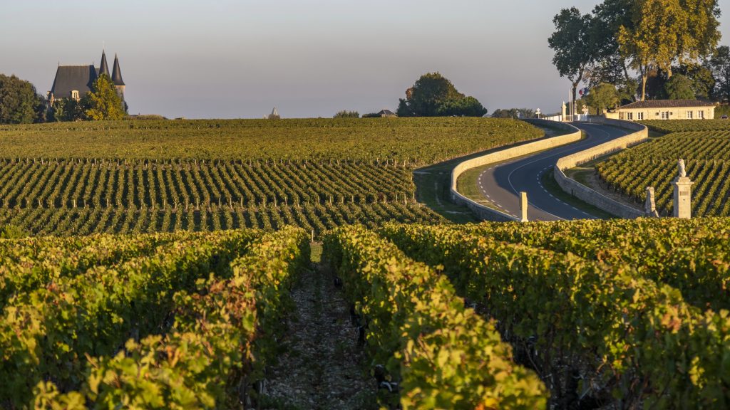 Route des Chateaux, Vineyard in Medoc, amous wine estate of Bordeaux wine, France