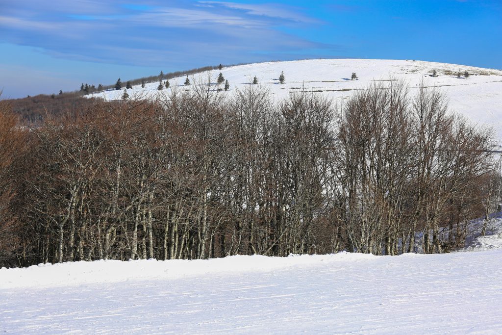 Snow skiing landscape of mountains in Vosges, France