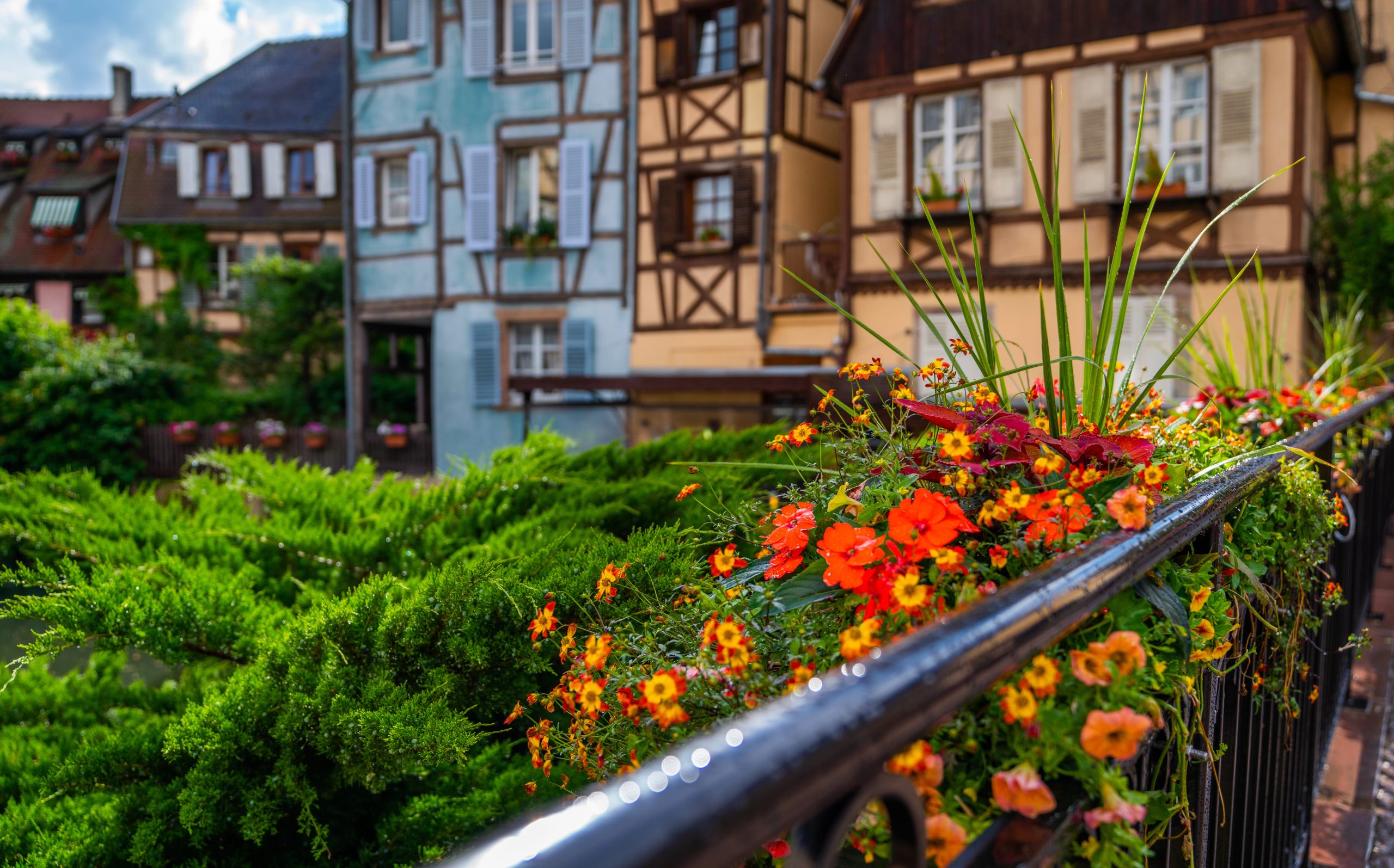 View of the most characteristic and particular city of Southern France with its houses that recall distant times. Floral traditional town Colmar with charming old streets in Alsace region.