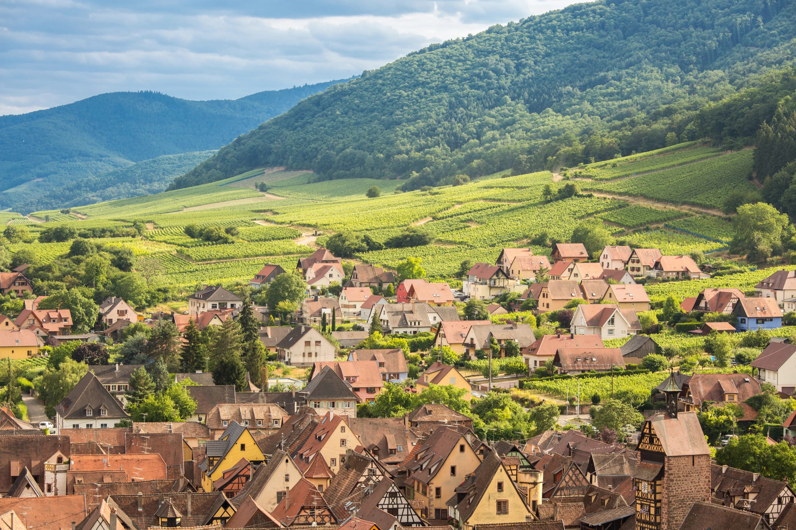 Riquewihr city in France